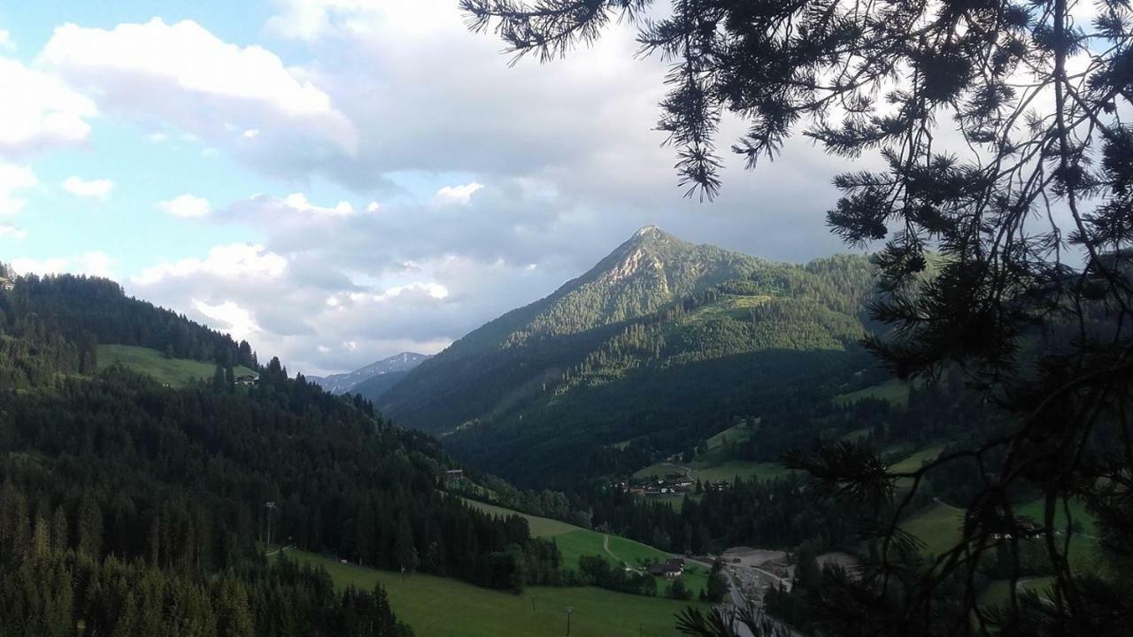 Appartement Bettina Mitterwallner Altenmarkt im Pongau Eksteriør bilde